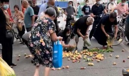 周口老人爆料新闻视频,揭秘新闻背后的惊人真相